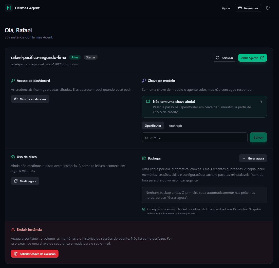 Painel da HAAS com o cartão da instância ativa, acesso ao dashboard, campo para a chave de modelo, uso de disco, backups e a área de exclusão da instância.